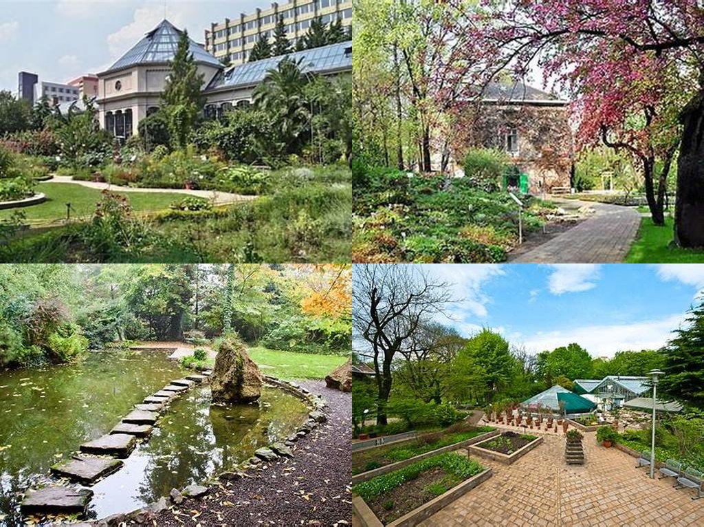 Füvészkert (Botanical Garden)