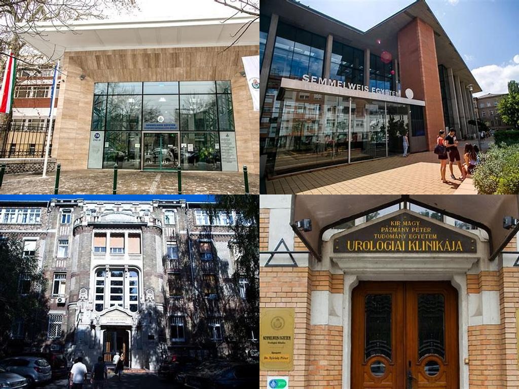 Semmelweis Egyetem Klinikák (Semmelweis University Clinics)