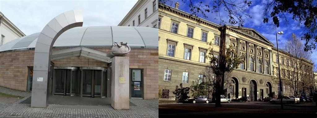 A Természetrajzi Múzeum Növénytára (The Botanical Department of the Natural History Museum)