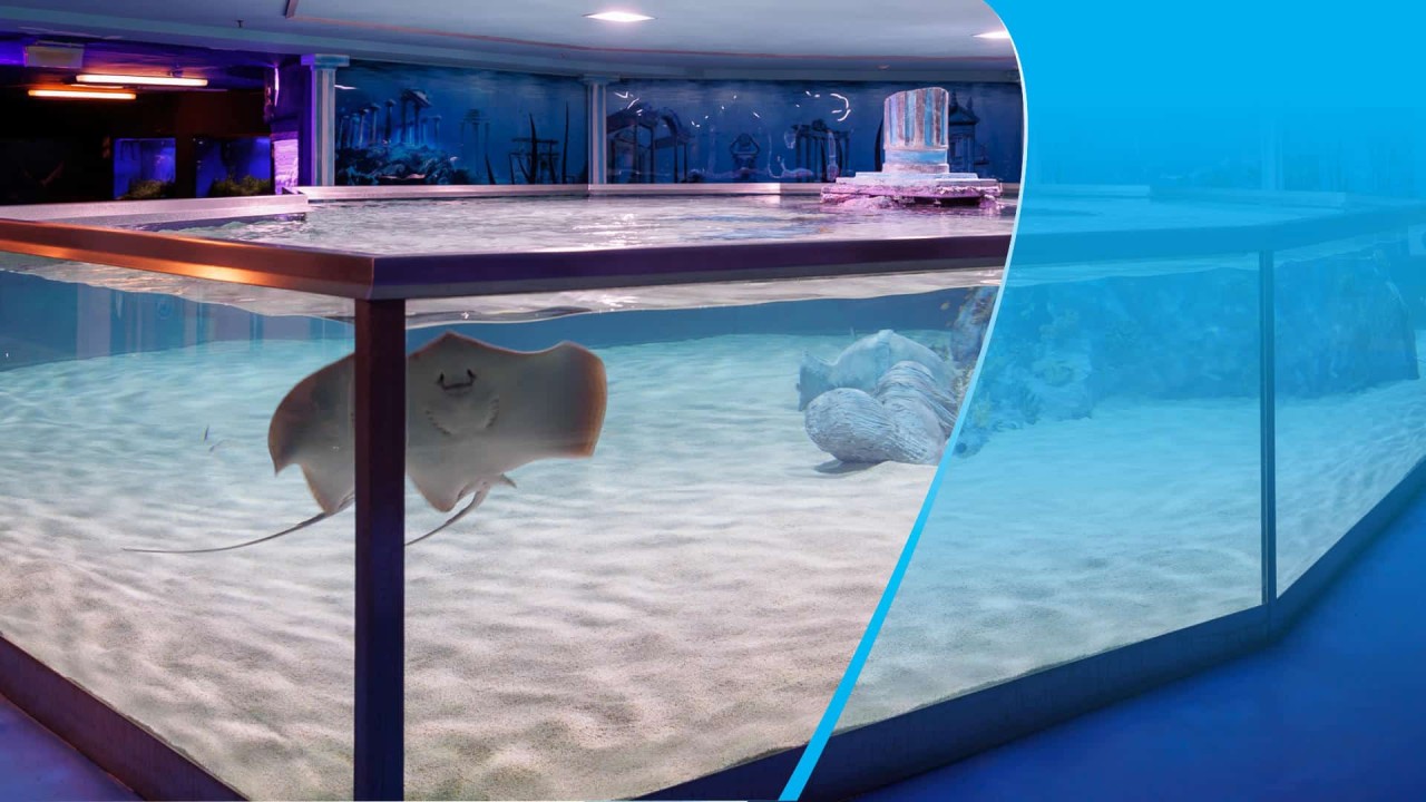 Sharks, Wine, And Spiritual Getaways: Budapest’s 2025 Tropicarium Program
